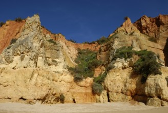 Rocky coast at Praia do Amado, Portimao, Algarve, Portugal, Europe