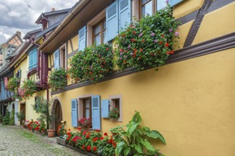 Picturesque historical street in Eguisheim, Alsace, France, Europe