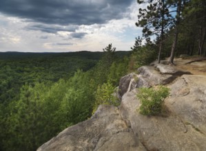 Algonquin Provincial Park summertime nature scenery. Ontario, Canada, North America