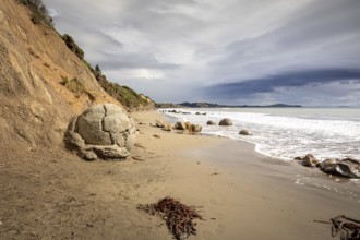 An image of the boulders at the beach of Moeraki New Zealand