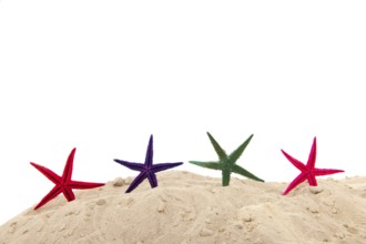 Colorful starfishes at the beach and white background