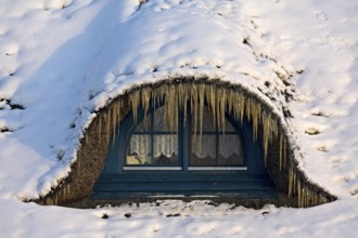 Ice window