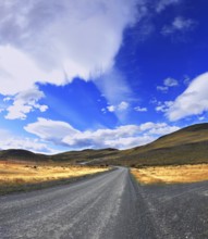 Picture taken with a fisheye lens. The dirt road in the Chile National Park Torres del Paine. Magic