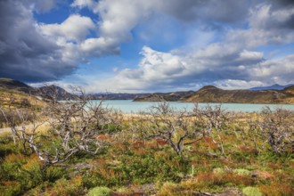 Strong winds of Patagonia. Chile, Patagonia, Torres del Paine National Park - Biosphere Reserve.