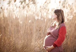 Young pretty pregnant woman outdoors on sunset in the field