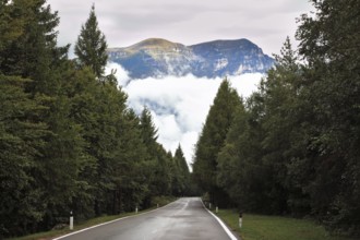 Wet shiny road in the Swiss Alps. Cold autumn day, low cumulus clouds