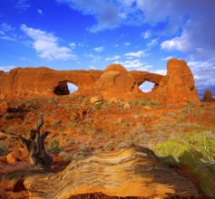 Arches National Park Windows section in Moab Utah USA
