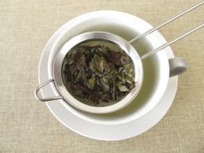 Peppermint tea in a tea strainer