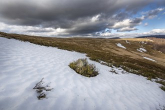 Summits of the Vosges landscape in Winters. France
