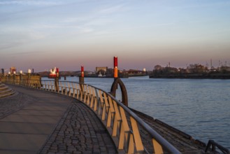 View of the harbour on the elbe