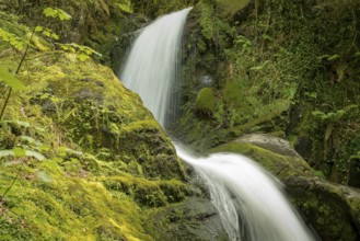 Waterfalls near Dolgoch, Gwynedd, Wales, UK