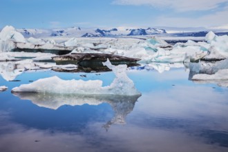 Ice lagoon in July. Ice floes and icebergs are reflected in the mirrored water of ocean. Summer