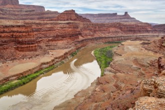 A jetboat transporting kayaks upstream of Colorado River below Moab in Utah