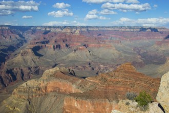 Grand Canyon, South Rim, Garnd Canyon National Park, Nevada, USA, United States of America, North