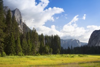 The sunset in Yosemite National Park, California, USA, North America