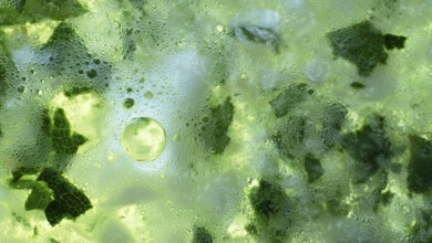 Color of life green background. Fermentation stimulating substances, fermented broth.