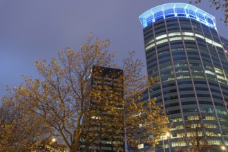 Illuminated tower block with trees in the foreground at dusk, Rotterdam, Netherlands