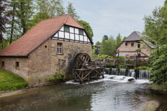 Oil mill, 18th century, Schloss Brake castle, Lemgo, North Rhine-Westphalia, Germany, Europe