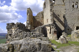 Homburg castle ruins and Homburg ruins nature reserve with the largest contiguous dry grassland in