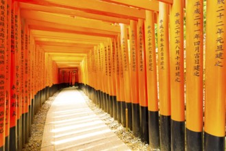 KYOTO, JAPAN, JUNE 15, 2015: Japanese text written on colorful red torii gates supports repeating
