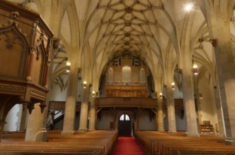 Collegiate Church of St Peter and Paul, Nave, Organ, Öhringen, Hohenlohe, Germany, Europe