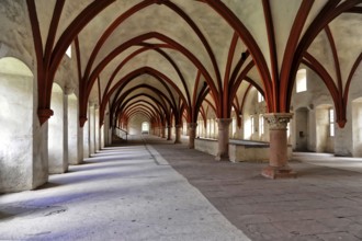 Eberbach Monastery, founded in 1136, Eltville am Rhein, Rheingau, Hesse, Germany, Long Gothic hall