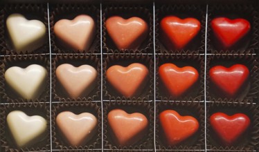 Heart shape chocolate pralines in the box