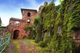 Burg Hohnstein ruins in Harz Neustadt of Germany