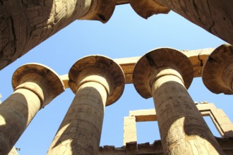 Columns in karnak temple with ancient egypt hieroglyphics