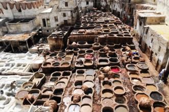 Workers, Chouwara tanners' and dyers' quarter in Fes El Bali, Medina, UNESCO World Heritage Site,