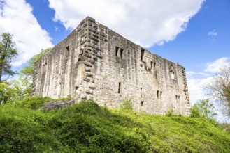 An image of the castle ruin at Albeck south Germany