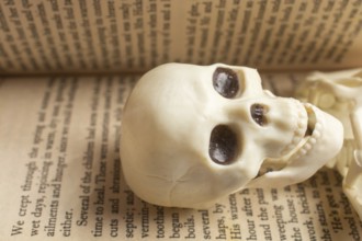 Model of artificial Human Skeleton in a book with text