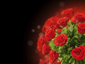Illustration of the Red Rose Bouquet With Copyspace