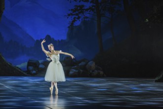 The romantic ballet