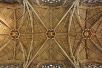 Vault with free-standing ribs, St., Sankt, Saint