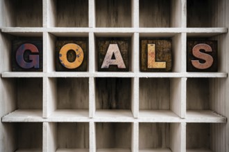 The word GOALS written in vintage ink stained wooden letterpress type in a partitioned printer's