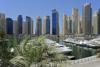 Skyscraper at Dubai Marina, Jumeirah, Dubai, United Arab Emirates, Asia