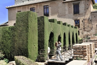 Alhambra, Granada, Andalusia, Spain, People taking pictures during a walk in front of cypresses,