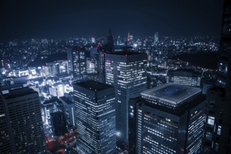Skyscrapers of night view seen from the Tokyo Metropolitan Government Building. Shooting Location: