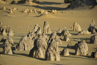 Pinnacles Desert, Nambung National Park, Kalbarri Region, Western Australia, Australia, Oceania