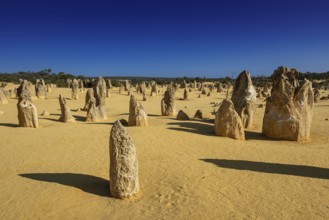 Pinnacles Desert, Nambung National Park, Kalbarri Region, Western Australia, Australia, Oceania