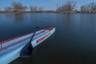 Fort Collins, CO, USA - March 3, 2020: A long racing stand up paddleboard (Mistral Interceptor) on