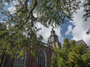 Church tower rises between leaves and clouds, surrounded by green trees, zutphen, gelderland,