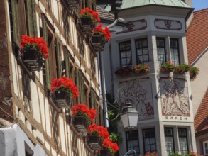 Historic half-timbered house with windows and red flowers under a blue sky, Meersburg, Lake