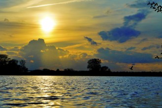 Golden sunrise over a body of water with dramatically illuminated clouds, Polder 27798 Hude-Germany
