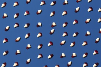 Flat lay photo tasty concept, minimal Sweet Candy jelly bean Colorful pattern on blue pastel