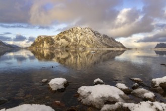 Lofoten wall reflection at the E10 near Kleppstad, Lofoten, Nordland, Norway, Europe