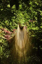 A narrow suspension bridge winds its way through dense green jungle. St Austel, Cornwall, England,
