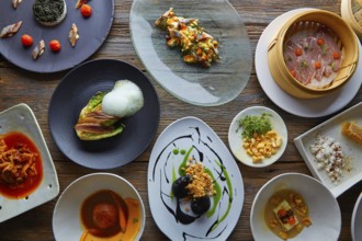 Molecular gastronomy variety of recipes Modern cuisine