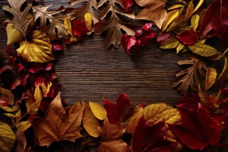 Autumn fall frame golden red leaves on wood background copy space